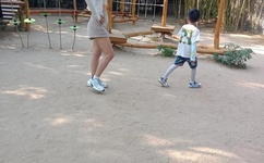 《朋友年轻的妈妈》中字头歌词